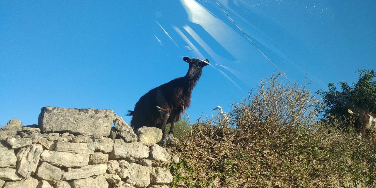 "La Casina Del Forno Con Piscina Fra Catania E Siracusa " Карлентіні Екстер'єр фото